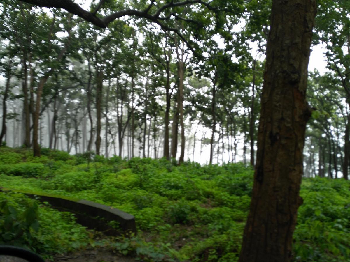 The Residency Amarkantak Exterior foto