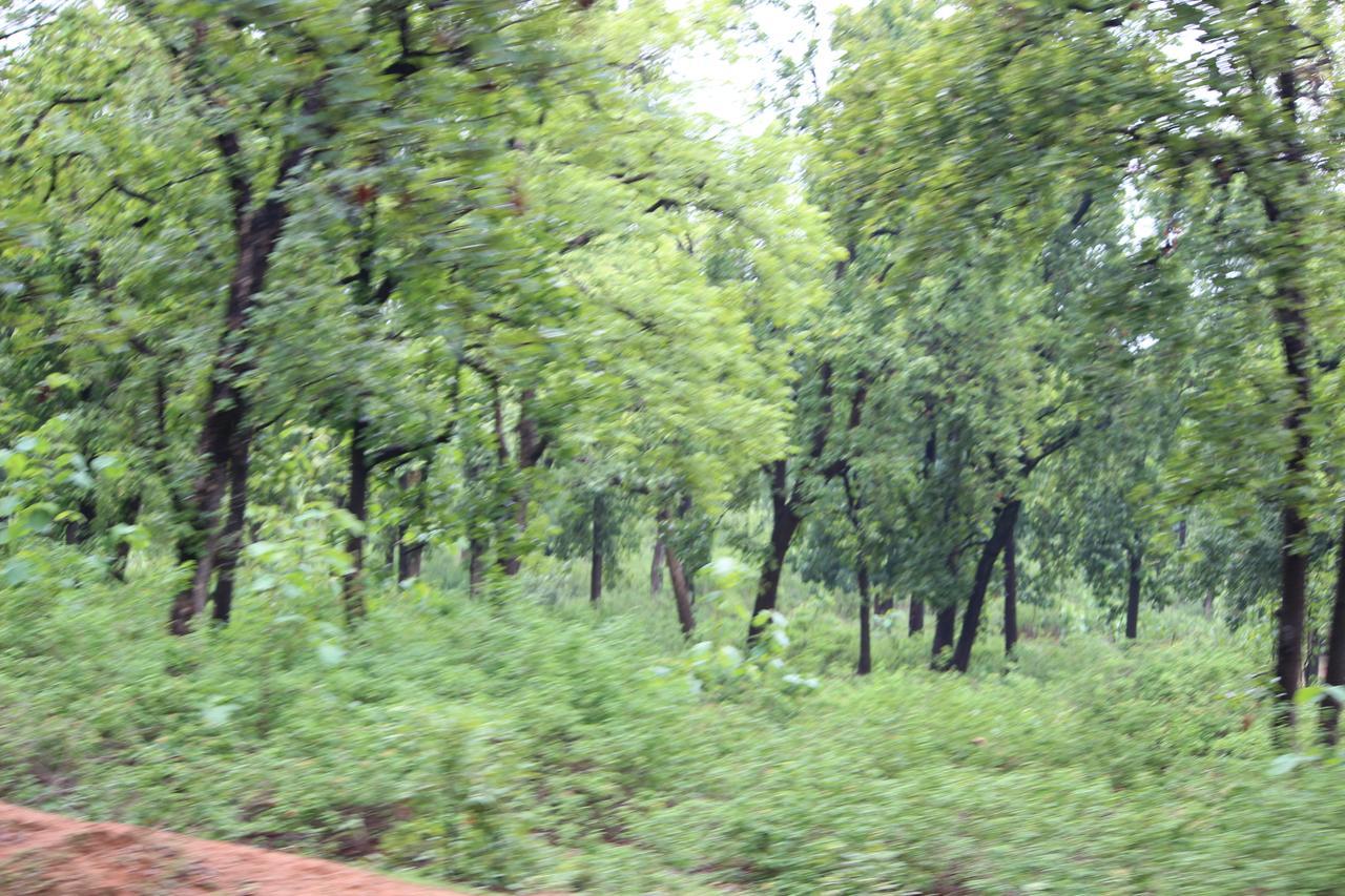 The Residency Amarkantak Exterior foto